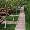 Отель Denizimapartbungalov, фото 9