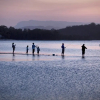 Отель Tallebudgera Creek Tourist Park, фото 16