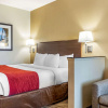 Отель Comfort Inn & Suites Orange County John Wayne Airport, фото 28
