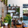Отель Moganshan Jingshe Holiday Homestay, фото 10