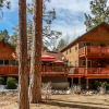 Отель Alpenhorn Lodge-1903 by Big Bear Vacations, фото 29
