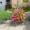 Отель Marinka - With Backyard - A2, фото 8