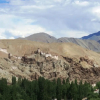 Отель The Grand Ladakh, фото 17