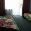 Отель Antoshka Pansionat, фото 6