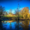 Отель New Forest Lodges, фото 20