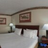 Отель Holiday Inn Express Hotel & Suites FOREST, фото 50