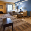 Отель Best Western Plus Fort Worth Forest Hill Inn, фото 14
