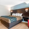 Отель Quality Inn & Suites, фото 49