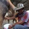 Отель Agroturistico Hija del Conde, фото 16