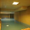 Отель Pasa Beach Hotel - All Inclusive, фото 15