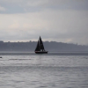 Отель Lovely 2BD Flat in Picturesque Limekilns Fife, фото 16