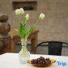 Отель Anshun Huangguoshu Fantutunbao Culture Homestay, фото 8