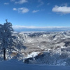 Отель Restmance Pension Woody Hill, фото 16