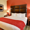 Отель Comfort Inn & Suites, фото 5