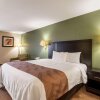Отель Quality Inn & Suites Clemmons I-40, фото 34