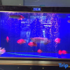 Отель Guo Hao Hotel (Yiwu International Trade City), фото 12