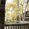 Отель Mt. Yale Chalet at Creekside Chalets - 1 Br Cabin, фото 1