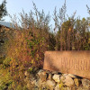 Отель Wild Brook Retreat, фото 11