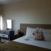 Отель Lolos Elegant Three Bedroom Apartment в Хараре