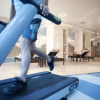 Отель Alexandar Montenegro Luxury Suites & Spa, фото 28