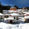 Отель Chalets at Pamporovo Village, фото 1