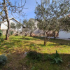 Отель Marica's Second Home, фото 1