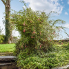 Отель Marylea Cottage, фото 3