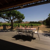 Отель Detached Holiday Home on the Edge of a Vineyard at Châteauneuf-du-pape, фото 12