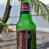 Отель Coconut Bungalows Star Fish Beach, фото 25