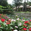 Отель The Garden House Phu Quoc Resort, фото 26