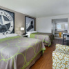Отель Super 8 by Wyndham San Antonio Downtown/Alamo, фото 4