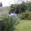 Отель Casale il Giuncheto, фото 1