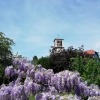 Отель Chambre d'Hotes L'Ancienne Ecole, фото 7