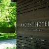 Отель Ancient Hotel asama karuizawa, фото 1