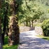 Отель Apartaments La Taverna dels Noguers, фото 9