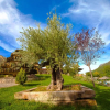 Отель Coto del Valle de Cazorla, фото 7