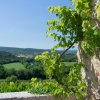 Отель Domaine de Gressac, фото 39