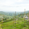 Отель Satellite Holiday Resort, фото 29
