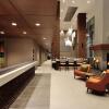 Отель Hilton Garden Inn Calgary Downtown, фото 1