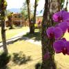 Отель Pousada Das Orquideas20, фото 16