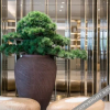 Отель Ji Hotel (Qingdao Chengyang Wanxianghui), фото 28