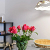 Отель Captivating Apartment in Winterberg with Garden, фото 8