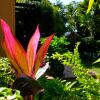 Отель Santa Lucia Guest House, фото 12