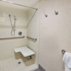 Отель Hampton Inn Washington-Dulles Int'l Airport South, фото 9