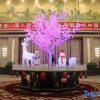 Отель Tianming Jinjiang International Hotel, фото 20