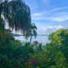 Отель Seagull Cove Resort, фото 45