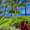 Отель Garden View Studio - Kona Islander Inn Condos Condo by RedAwning, фото 22