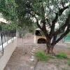 Отель Olive grove with sea view, 20' walk to the beach, фото 5