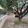 Отель Olive grove with sea view, 20' walk to the beach, фото 4