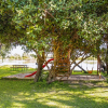 Отель Zambezi Mubala Camp, фото 11